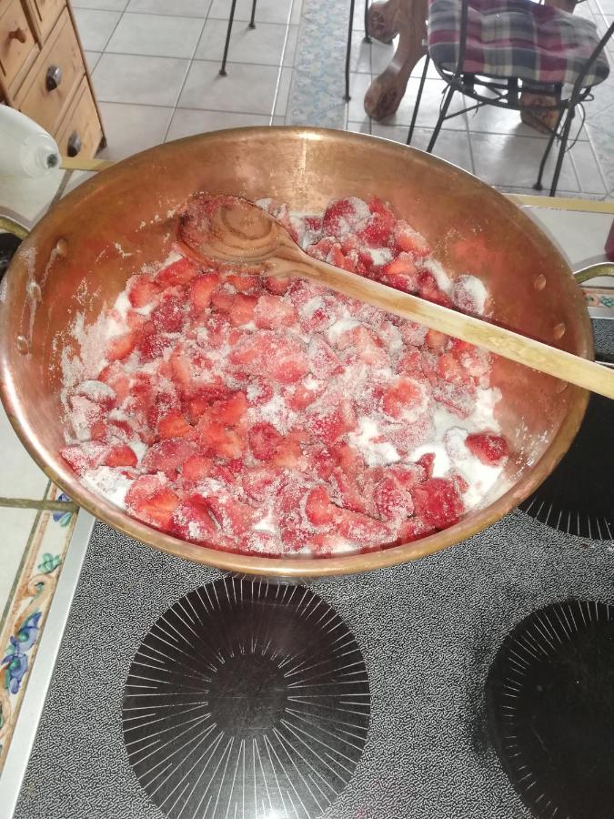 Les Haies Vives Choisy المظهر الخارجي الصورة